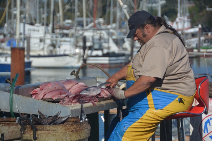 fish cleaning
